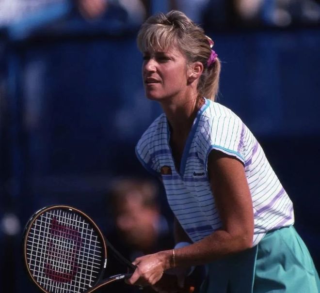 象上的压力 象上的压力