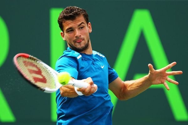 他的多样化 他的多样化