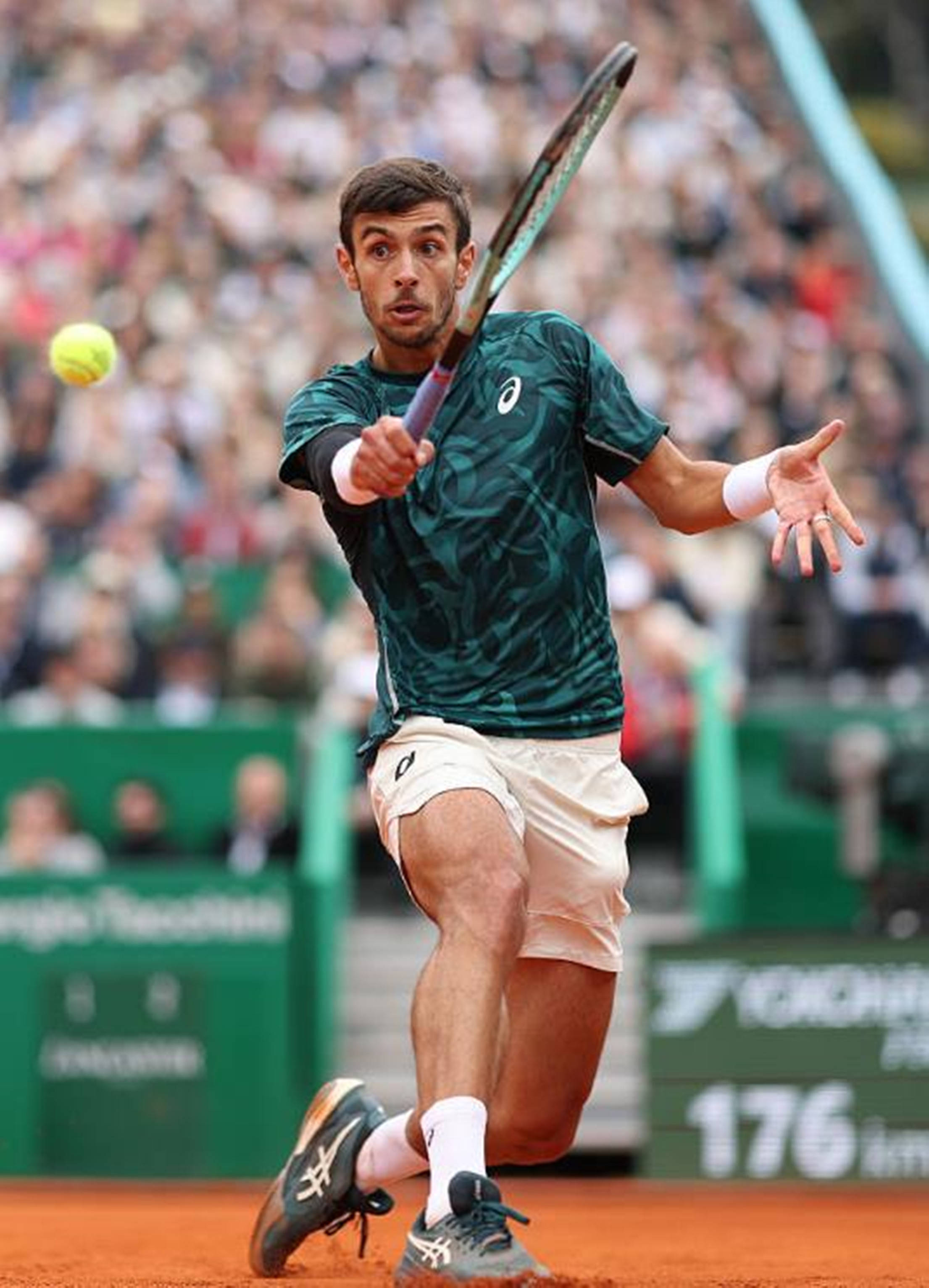 生涯的双向 生涯的双向