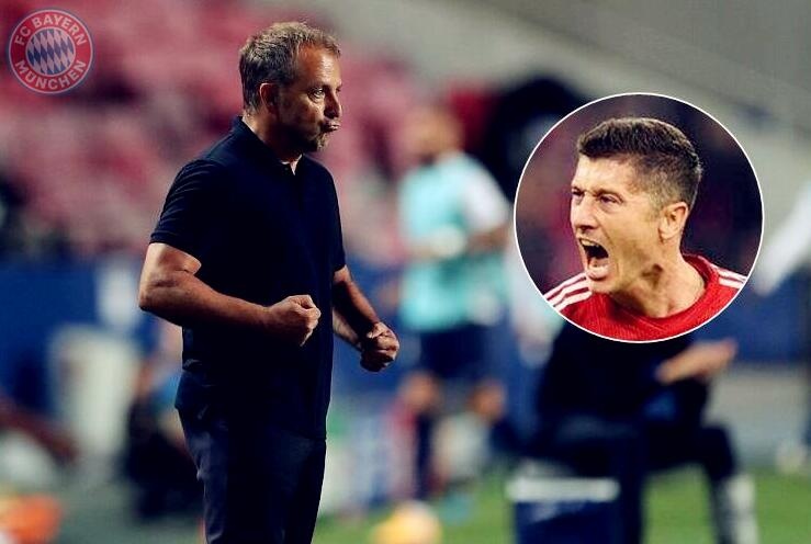 我们将详细 我们将详细